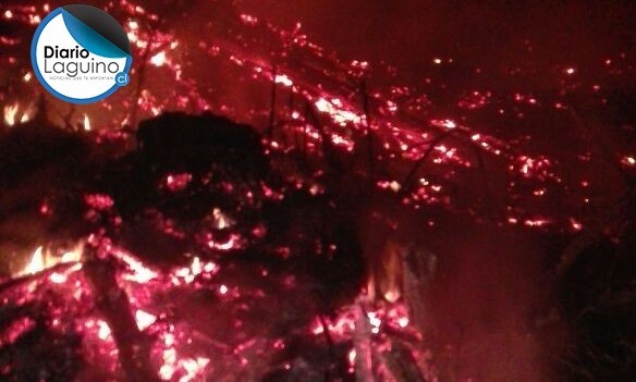 Incendio en cerro San Ambrosio se encuentra contenido en 5 hectáreas 