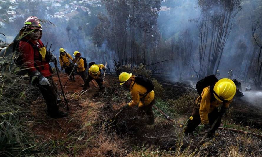 Berger valoró aumento de presupuesto para combatir incendios forestales durante esta temporada estival
