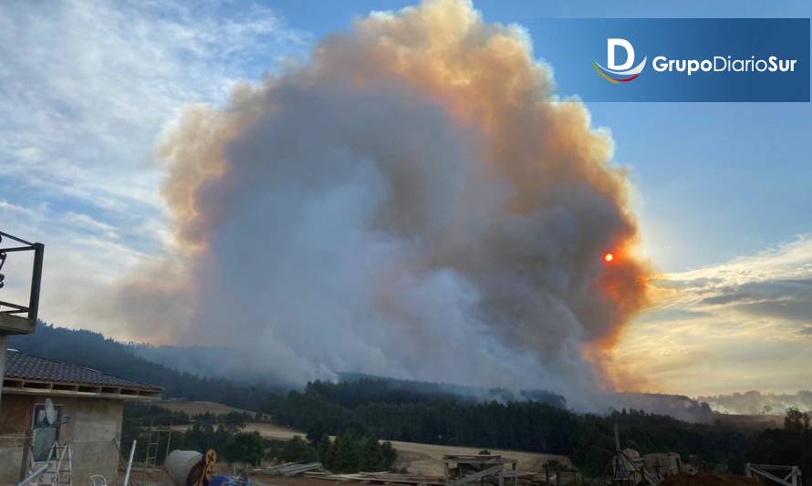 Por fin: Incendio forestal en Paillaco fue  controlado