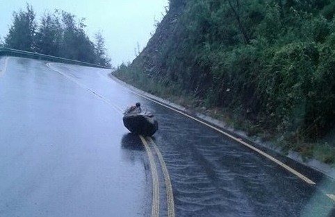 Alertan a conductores por posibles derrumbes en ruta Lago Ranco- Riñinahue
