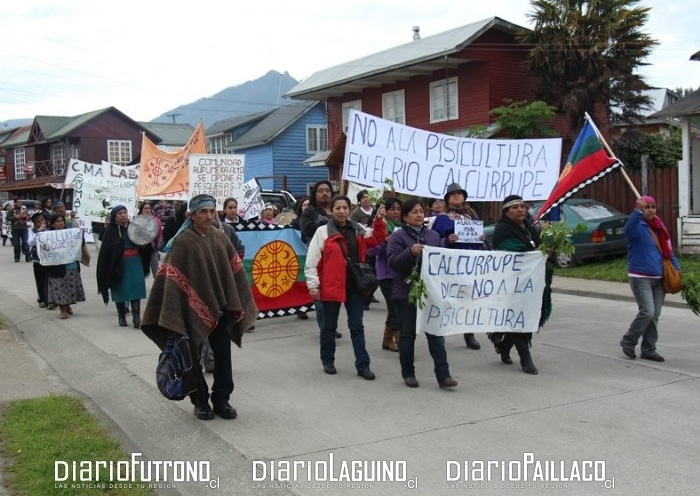 Tribunal Ambiental recibió reclamación contra Piscicultura Calcurrupe