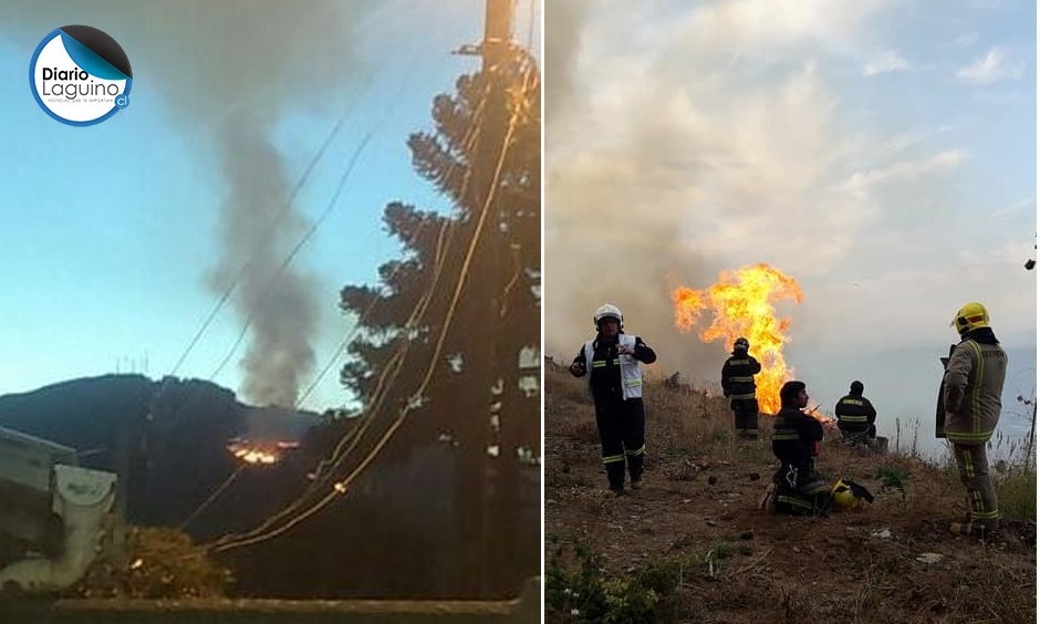 Incendio en cerro laguino silenció radioemisoras: piden agua y barras de cereal para bomberos