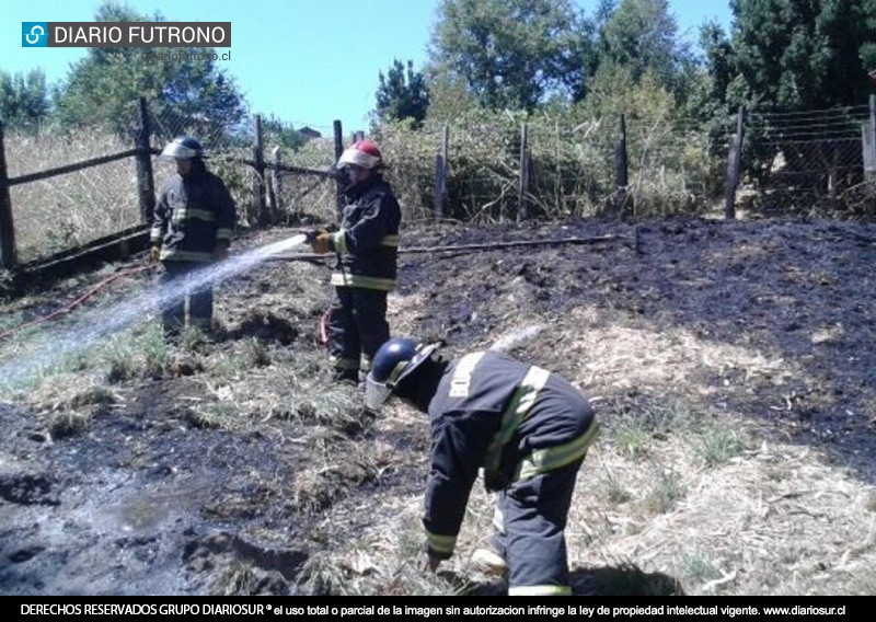 Incendio de pastizales afectó sector cercano a Cecinas Roblería