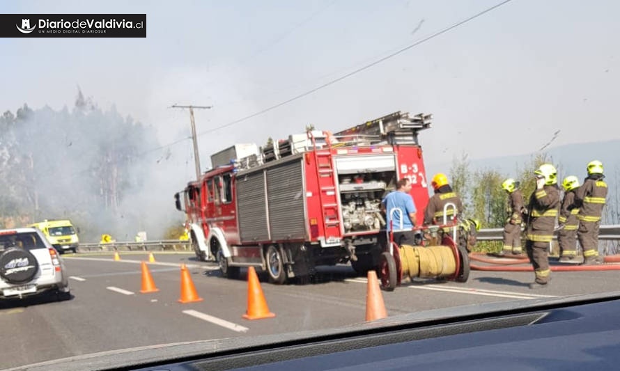 PRECAUCIÓN: Reportan incendio de pastizales en ruta Valdivia-Paillaco