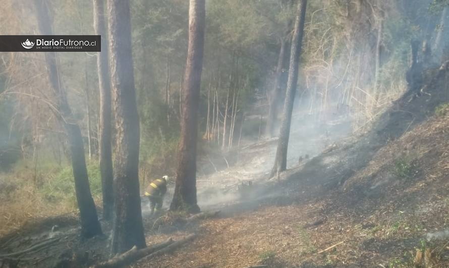 Incendio de pastizales y bosque nativo afecta a predio en Futrono