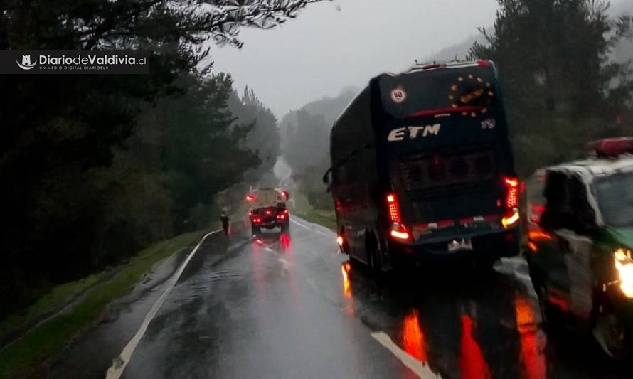 Rama de árbol cayó sobre bus en ruta Valdivia-Paillaco