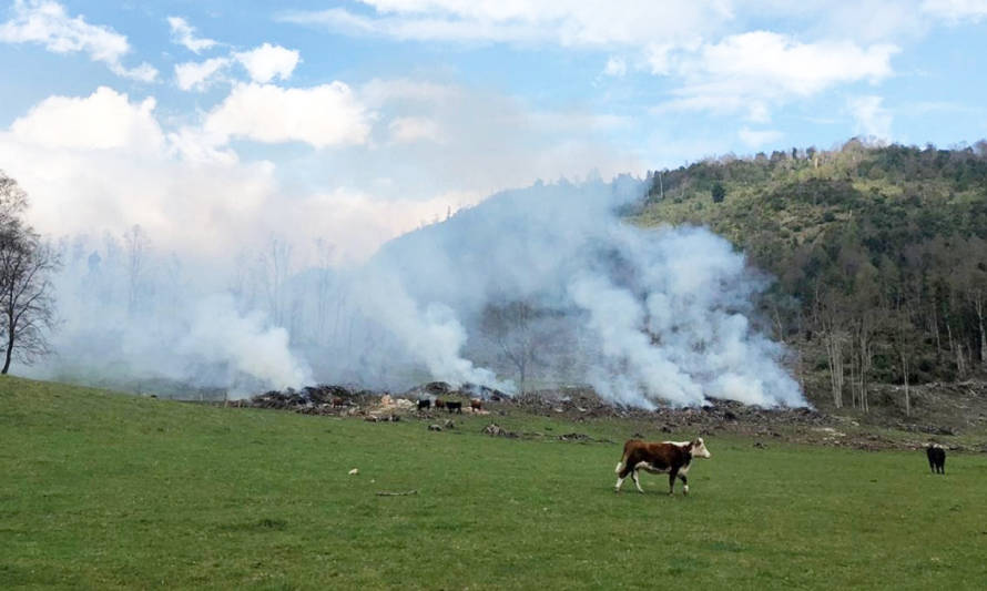 Conaf Los Ríos hace un llamado a prevenir incendios forestales en Fiestas Patrias