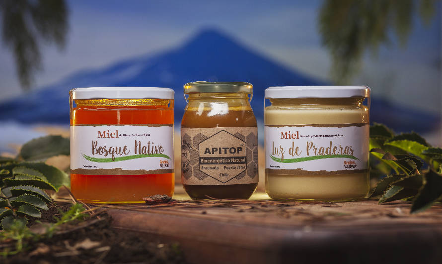 La miel y el propóleo, los súper alimentos de la Patagonia