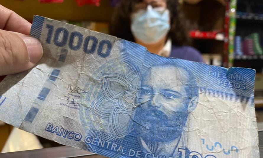 Comerciantes de Futrono en alerta por circulación de billetes falsos