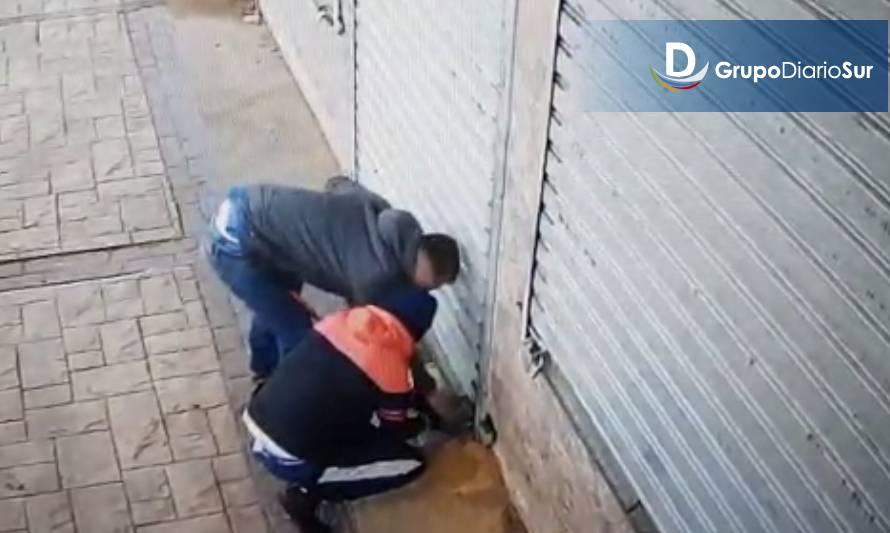 Video muestra fallido intento de robo en botillería de Paillaco