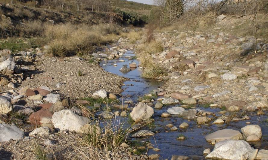Gobierno decretó por 1era vez escasez hídrica para la Región de Los Ríos