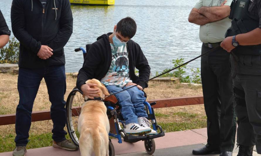 Gendarmería Los Ríos entregó en donación a 3 perros adiestrados