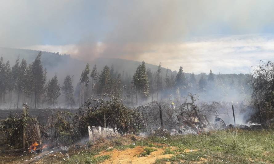 Sigue el combate del incendio forestal en Las Lomas, Paillaco

