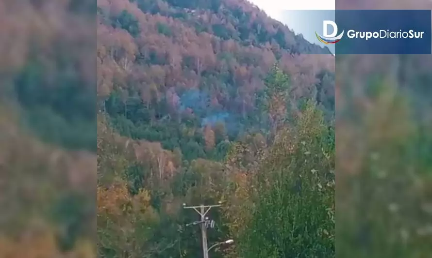 Reportan foco de incendio forestal en Maihue