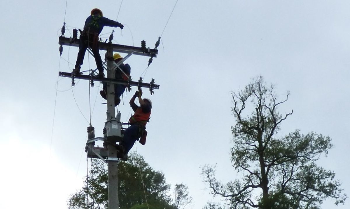 Cooperativa Socoepa informa desconexión programada de energía eléctrica en Paillaco