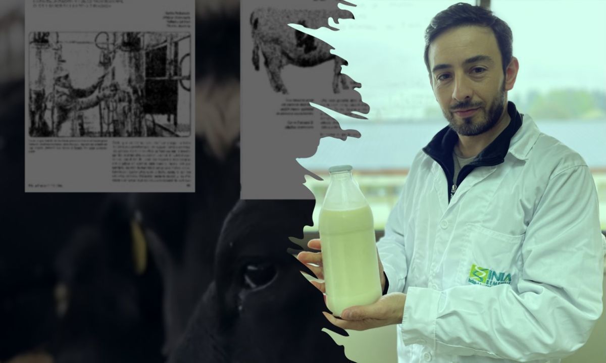 Doctor leche hace recuento histórico de aportes pioneros de INIA en investigación y transferencia tecnológica