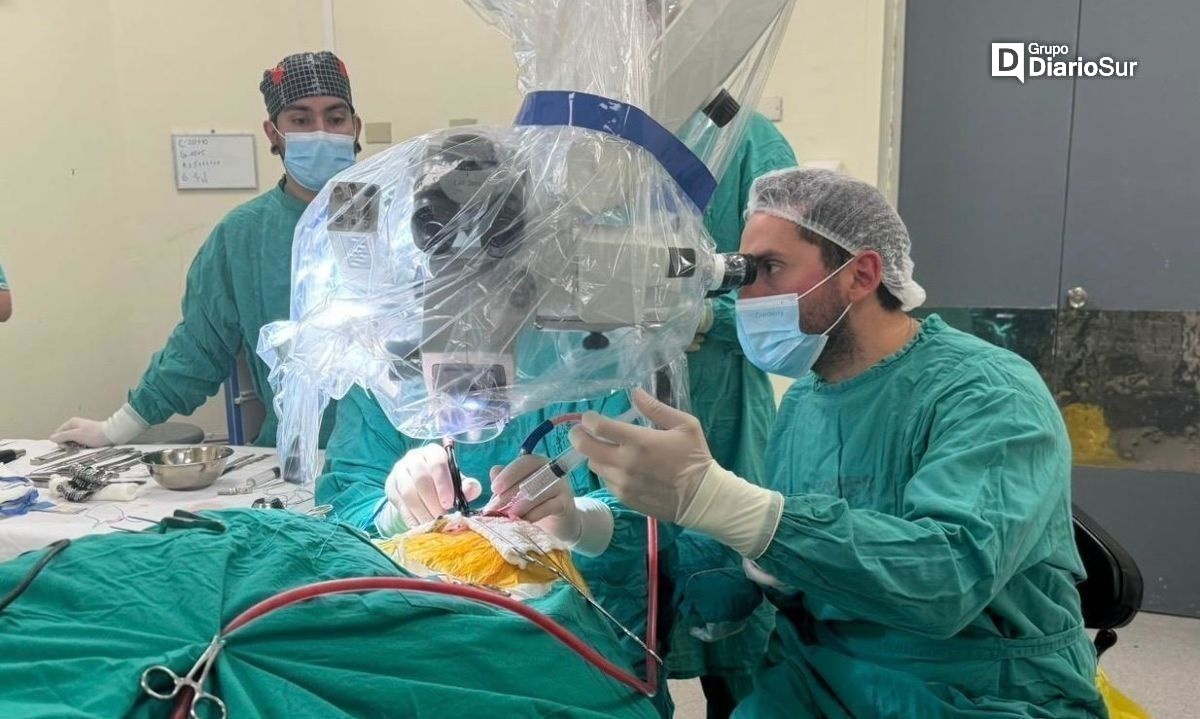 Hospital Base Valdivia realiza primera cirugía de epilepsia refractaria en la región