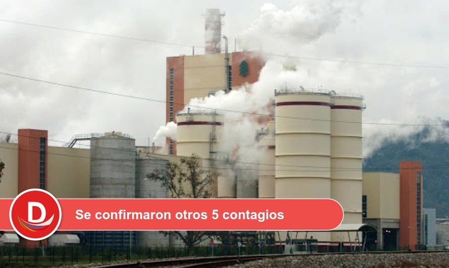 Covid: Celulosa Arauco logró trazabilidad de empleados contagiados 