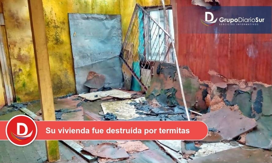 De sueño de la casa propia a pesadilla: valdiviana desesperada por la destrucción de su casa