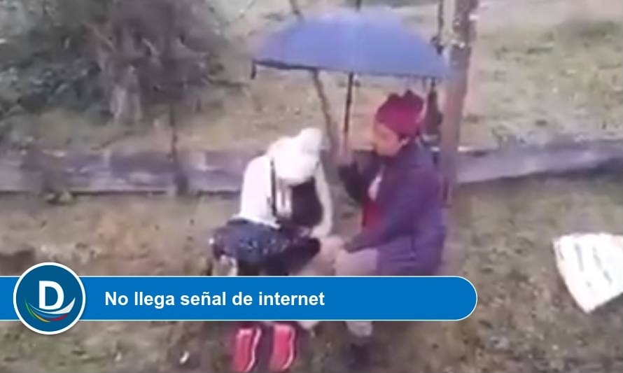 Se viraliza video de estudiante haciendo tareas bajo la lluvia en Panguipulli  